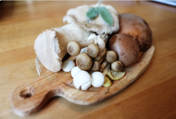 best mushroom supplement